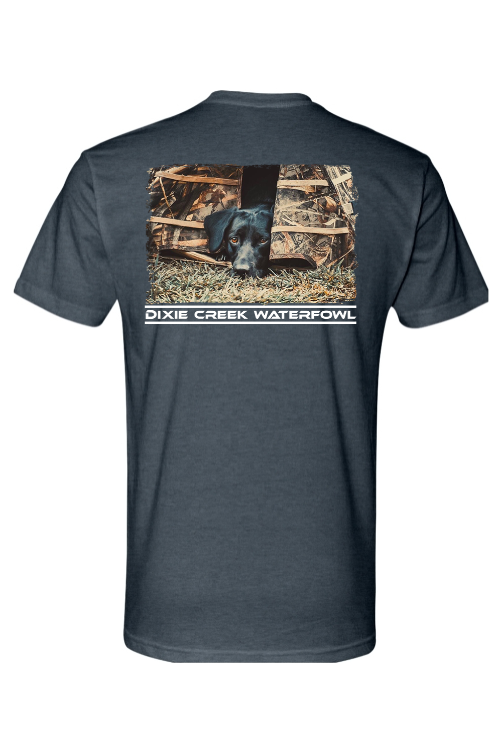 Adult Brandy - Next Level CVC Crew