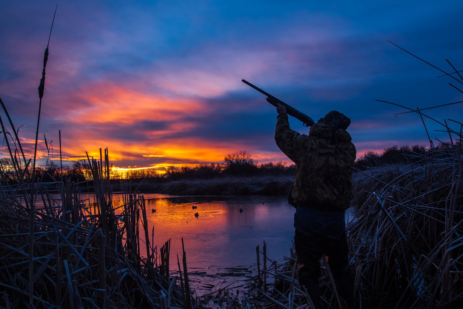 Waterfowl Hunting
