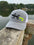 The Lizard - Heather Trucker