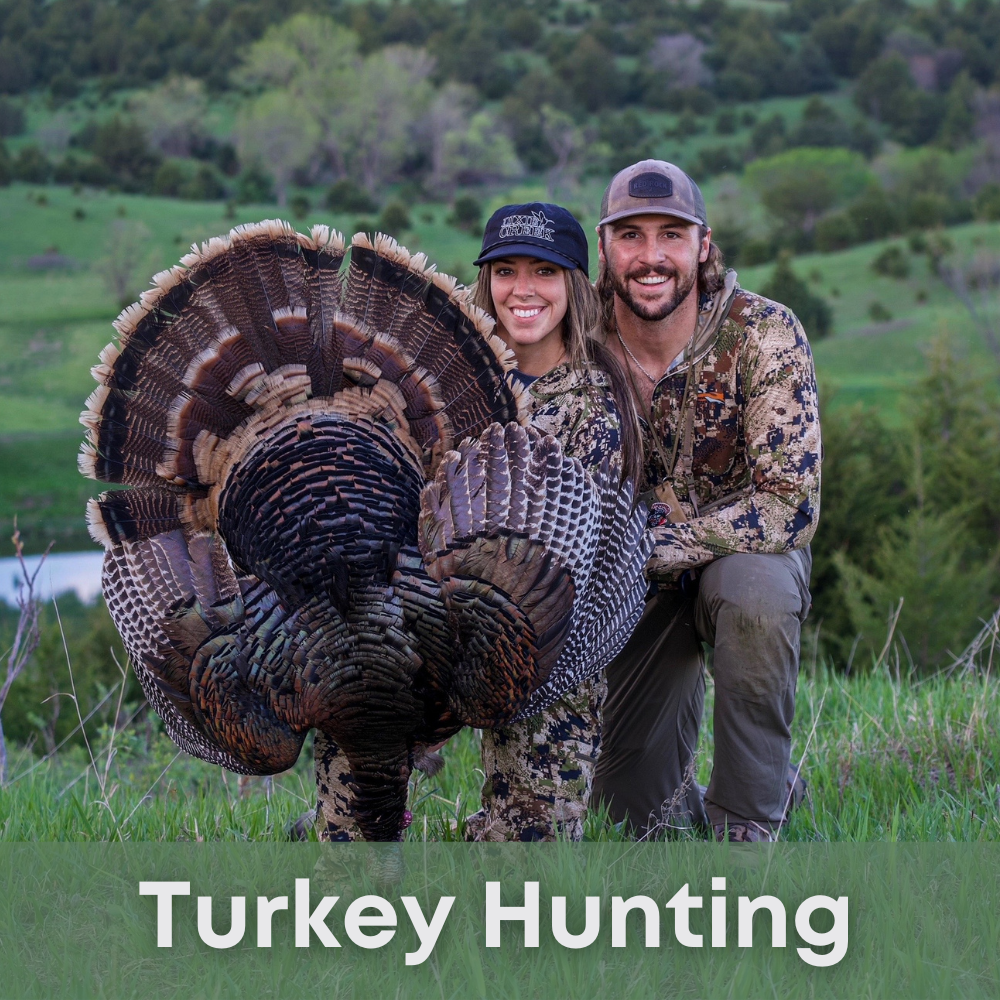 Dixie Creek Waterfowl