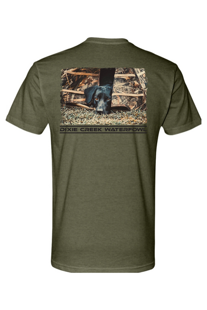 Adult Brandy - Next Level CVC Crew