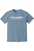 Adult Spring Time Dreamin' -Comfort Colors Short Sleeve Shirt