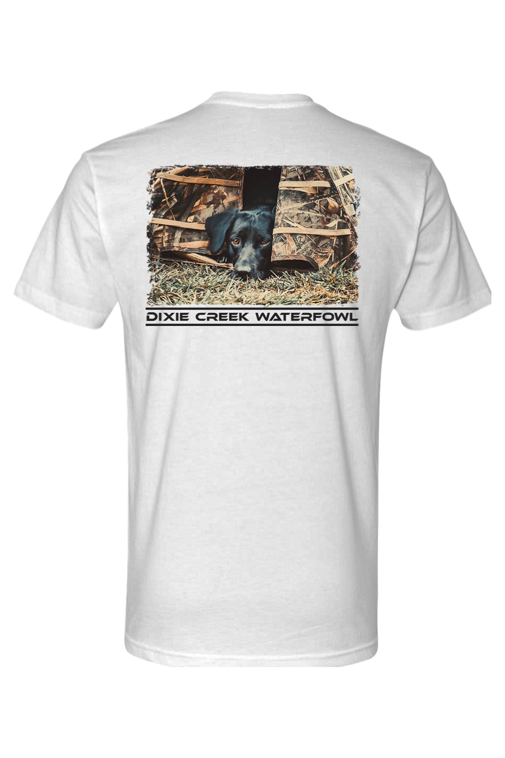 Adult Brandy - Next Level CVC Crew