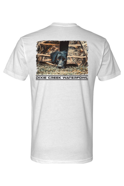 Adult Brandy - Next Level CVC Crew