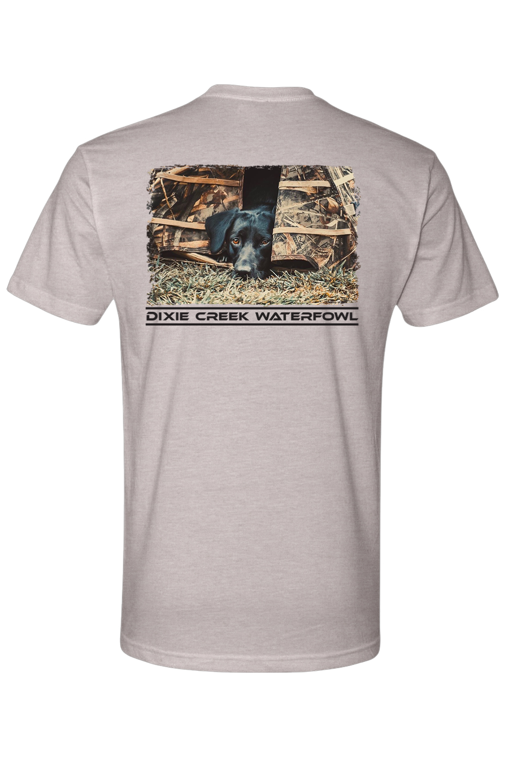 Adult Brandy - Next Level CVC Crew